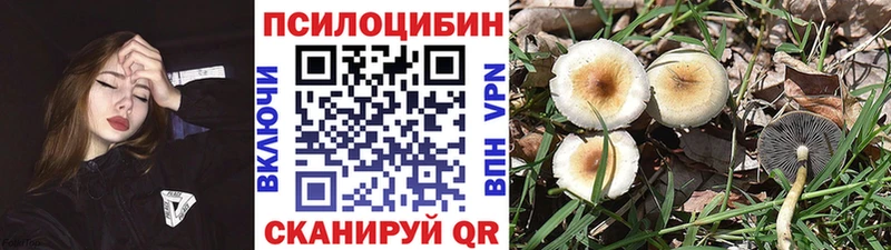где найти наркотики  Сосновоборск  Псилоцибиновые грибы MAGIC MUSHROOMS 